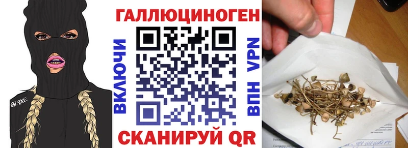 Купить  Лахденпохья  Галлюциногенные грибы Psilocybine cubensis 